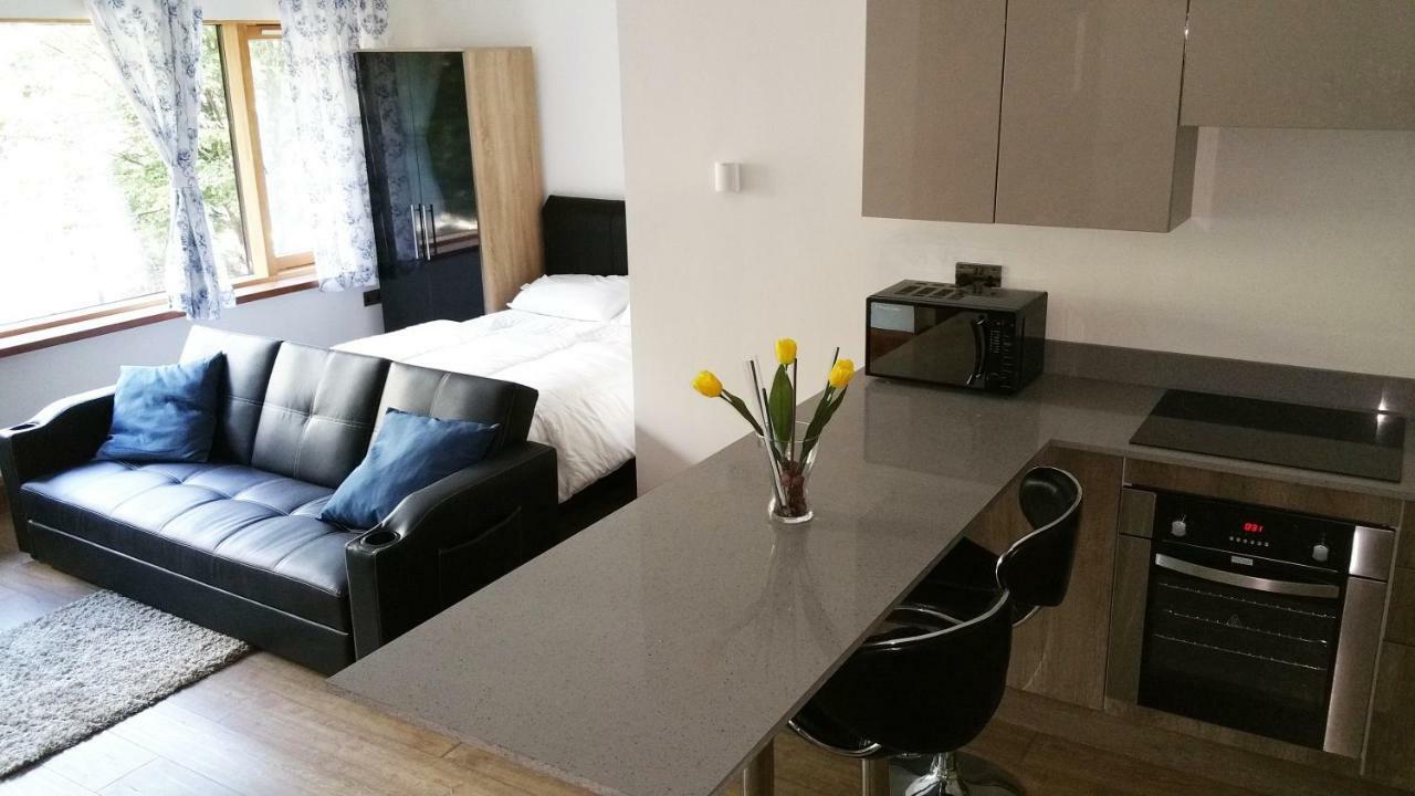 الشقق الفندقية كرويدونفي  Cygnet House المظهر الخارجي الصورة